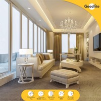 Goodlite G-19753 Edison Led 4.5W Bulb E26 Base T10 Shape, Frosted, 60W Equivalent 500 Lumens Filament Warm White 3000K Dimmable, 1 Count (Pack Of 1)