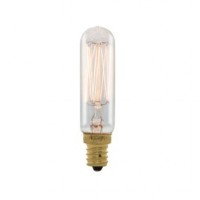 Bulbrite 132507 - 25 Watt 120 Volt T6 Candelabra Screw Base Clear (25T6/Sq/E12)