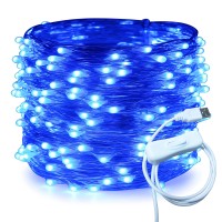 Ruichen Silver Wire 66 Ft 200 Led Usb Fairy String Lights With On/Off Switch (Blue)