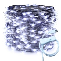 Ruichen Silver Wire 66 Ft 200 Led Usb Fairy String Lights With On/Off Switch (Cool White)