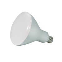 Satco S9641 Br Led, Natural Light