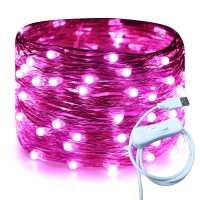 Ruichen Silver Wire 33 Ft 100 Led Usb Fairy String Lights With On/Off Switch (Pink)