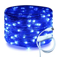 Ruichen Silver Wire 33 Ft 100 Led Usb Fairy String Lights With On/Off Switch (Purple)