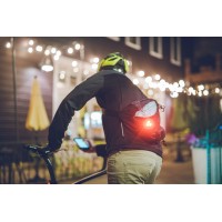 Lezyne Zecto Drive Max Bicycle Taillight, 250 Lumens, 24 Hour Runtime, Rear Bike Light