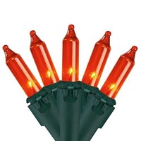 Northlight Set Of 100 Orange Mini Incandescent Christmas Lights 2.5