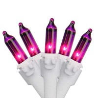 Northlight Set Of 100 Purple-Pink Mini Christmas Lights 2.5