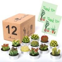 Aixiang 12Pcs Cactus Candles Succulent Candles Wedding Party Favors For Guests Bridal Shower Candles Favors Housewarming Favo