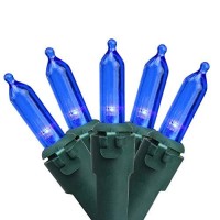 Northlight 100 Blue Led Mini Christmas Lights - 33 Ft Green Wire