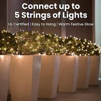 Prextex Warm White Christmas Lights (20 Feet, 100 Lights) - White Christmas Tree Lights Indoor White Wire - Clear Christmas Light - String Lights Indoor - Xmas Lights - Warm White Twinkle Lights