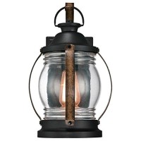 Westinghouse Lighting 6335100 Canyon One-Light Outdoor Wall Fixture, Textured Black And Barnwood Finish With Clear Glass