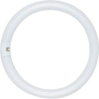 Bulb Fluor Circle 8 22W6