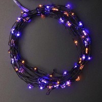 Miya Life Halloween Fairy Lights Indoor String Lights 10Ft 60Leds Copper Wire With Remote & Timer For Fall Decorations For Home Thanksgiving Gift Autumn Parties Bedroom Fairy Lights(Orange&Purple