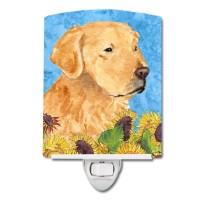 Carolines Treasures Ss4109Cnl Golden Retriever In Summer Flowers Ceramic Night Light Compact Ulcertified Ideal For Bedroom