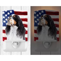 Carolines Treasures Sc9016Cnl Usa American Flag With Springer Spaniel Ceramic Night Light Compact Ulcertified Ideal For Bedr