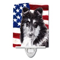 Carolines Treasures Sc9630Cnl Black And White Collie With American Flag Usa Ceramic Night Light Compact Ulcertified Ideal Fo