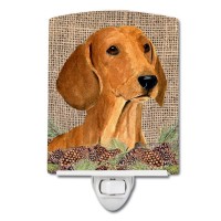 Carolines Treasures Ss4078Cnl Dachshund On Faux Burlap With Pine Cones Ceramic Night Light Compact Ulcertified Ideal For Bed