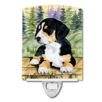 Carolines Treasures Ss8132Cnl Entlebucher Mountain Dog Ceramic Night Light Compact Ulcertified Ideal For Bedroom Bathroom