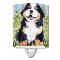 Carolines Treasures Ss8750Cnl Bernese Mountain Dog Ceramic Night Light Compact Ulcertified Ideal For Bedroom Bathroom Nurs