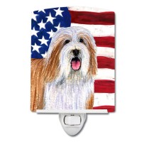 Carolines Treasures Ss4245Cnl Usa American Flag With Bearded Collie Ceramic Night Light Compact Ulcertified Ideal For Bedroo