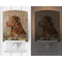 Carolines Treasures Ss4108Cnl Curly Coated Retriever On Faux Burlap With Pine Cones Ceramic Night Light Compact Ulcertified