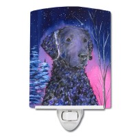 Carolines Treasures Ss8354Cnl Starry Night Curly Coated Retriever Ceramic Night Light Compact Ulcertified Ideal For Bedroom