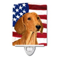 Carolines Treasures Ss4049Cnl Usa American Flag With Dachshund Ceramic Night Light Compact Ulcertified Ideal For Bedroom Ba