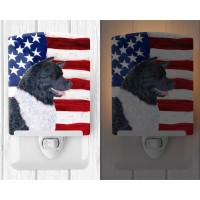 Carolines Treasures Ss4005Cnl Usa American Flag With Akita Ceramic Night Light Compact Ulcertified Ideal For Bedroom Bathro