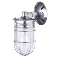 Canarm Ltd. Iol337Al Weather 1 Light, Indoor/Outdoor, Ceiling/Wall Mount, All Metal With Cage, Aluminum Finish