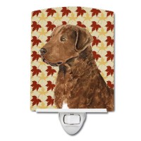 Carolines Treasures Ss4325Cnl Chesapeake Bay Retriever Fall Leaves Portrait Ceramic Night Light Compact Ulcertified Ideal Fo