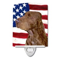 Carolines Treasures Ss4010Cnl Usa American Flag With Field Spaniel Ceramic Night Light Compact Ulcertified Ideal For Bedroom