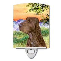 Carolines Treasures Ss1017Cnl Field Spaniel Ceramic Night Light Compact Ulcertified Ideal For Bedroom Bathroom Nursery Ha