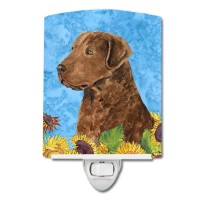 Carolines Treasures Ss4165Cnl Curly Coated Retriever In Summer Flowers Ceramic Night Light Compact Ulcertified Ideal For Bed