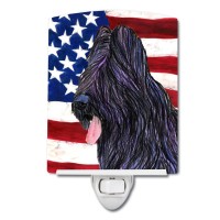 Carolines Treasures Ss4052Cnl Usa American Flag With Briard Ceramic Night Light Compact Ulcertified Ideal For Bedroom Bathr