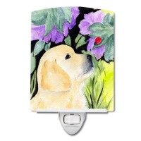 Carolines Treasures Ss8245Cnl Golden Retriever Ceramic Night Light Compact Ulcertified Ideal For Bedroom Bathroom Nursery