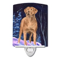 Carolines Treasures Ss8355Cnl Starry Night Chesapeake Bay Retriever Ceramic Night Light Compact Ulcertified Ideal For Bedroo