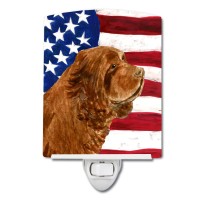 Carolines Treasures Ss4037Cnl Usa American Flag With Sussex Spaniel Ceramic Night Light Compact Ulcertified Ideal For Bedroo