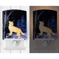 Carolines Treasures Ss8392Cnl Starry Night Golden Retriever Ceramic Night Light Compact Ulcertified Ideal For Bedroom Bathr