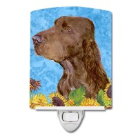 Carolines Treasures Ss4159Cnl Field Spaniel In Summer Flowers Ceramic Night Light Compact Ulcertified Ideal For Bedroom Bat