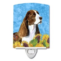 Carolines Treasures Ss4146Cnl Springer Spaniel In Summer Flowers Ceramic Night Light Compact Ulcertified Ideal For Bedroom