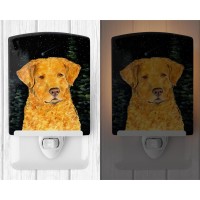 Carolines Treasures Ss8487Cnl Starry Night Chesapeake Bay Retriever Ceramic Night Light Compact Ulcertified Ideal For Bedroo