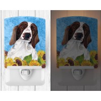 Carolines Treasures Sc9078Cnl Welsh Springer Spaniel In Summer Flowers Ceramic Night Light Compact Ulcertified Ideal For Bed