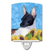 Carolines Treasures Ss4113Cnl Rat Terrier In Summer Flowers Ceramic Night Light Compact Ulcertified Ideal For Bedroom Bathr