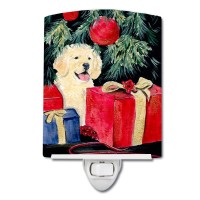 Carolines Treasures Golden Retriever Ceramic Night Light 6X4X3 Multicolor