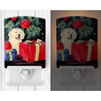 Carolines Treasures Golden Retriever Ceramic Night Light 6X4X3 Multicolor