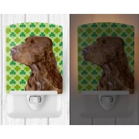 Carolines Treasures Ss4456Cnl Field Spaniel St Patricks Day Shamrock Portrait Ceramic Night Light Compact Ulcertified Idea