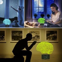 Elstey Brain 3D Night Light Table Desk Lamp, 7 Colors Optical Illusion Touch Control Lights With Acrylic Flat & Abs Base & Usb Cable For Christmas Gift