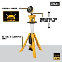 Dewalt Dcl079R1 20V Max* Cordless Tripod Light (Kit)