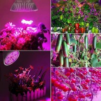 Pack Of 2 100W Led Plant Grow Light Bulb Full Spectrum 150 Leds Indoor Plants Growing Light Bulb Lamp For Vegetables Greenhou