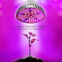 Pack Of 2 100W Led Plant Grow Light Bulb Full Spectrum 150 Leds Indoor Plants Growing Light Bulb Lamp For Vegetables Greenhou