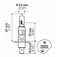 HELLA develops and manufactures bulbs for the automotive industry an also has one of the largest retail organizations for automotive parts With more that 7000 people working in research and development HELLA is one of the most important innovation drivers